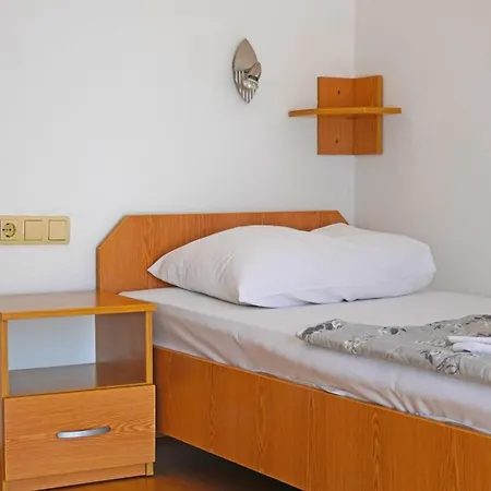 Pansion Viola 招待所 3*