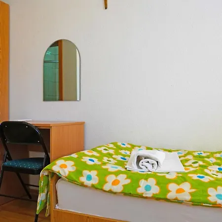 Pansion Viola 招待所 3*